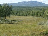 DSC04430