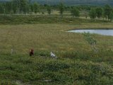 DSC04511