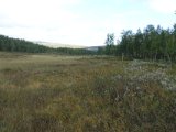 DSC04546