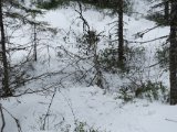 DSC05118