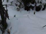 DSC05119