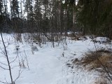 DSC05127