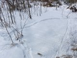DSC05128
