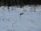 DSC05131