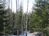 DSC05138