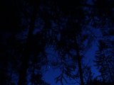 DSC05166