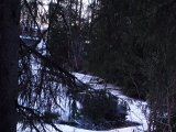 DSC05174