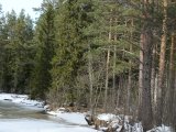 DSC05181
