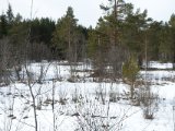 DSC05183