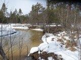 DSC05184