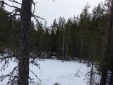 DSC05204