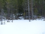 DSC05205