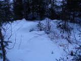 DSC05206
