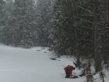 DSC05225