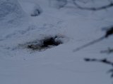 DSCF0182