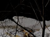 DSCF0183