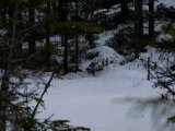 DSCF0186