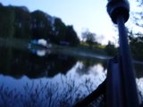 DSC05403