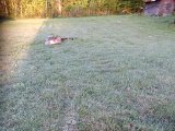 DSC05412