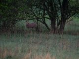 DSCF1326