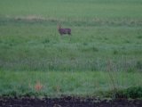 DSCF1329