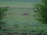 DSCF1332