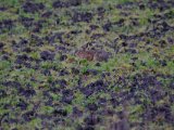DSCF1337