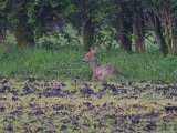 DSCF1345