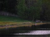 DSCF1346