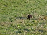 DSCF1367