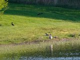 DSCF1376