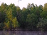 DSCF1389