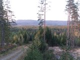 DSC05809