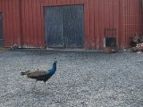 DSC05857