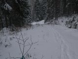 DSC04965