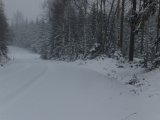 DSC04974