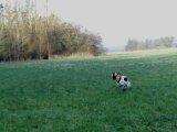 DSC05026