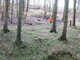 DSC04999