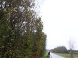 DSC05919