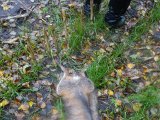 DSC05922