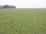 DSC06062