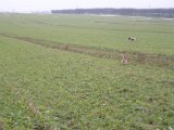 DSC06063