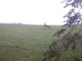 DSC06079
