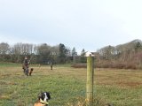DSC05991