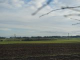 DSC05997