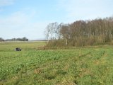 DSC06003