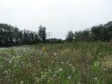DSC05774