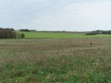 DSC05775