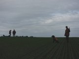 DSC05778