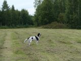 DSC05603
